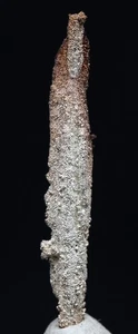 EINHEIMISCHES SILBER natürliches Kristall Cluster Mineral Präparat EDELMETALL AUSTRALIEN - Bild 1 von 4