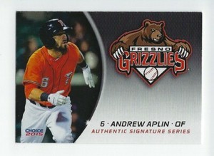 2015 Fresno Grizzlies Andrew Aplin 