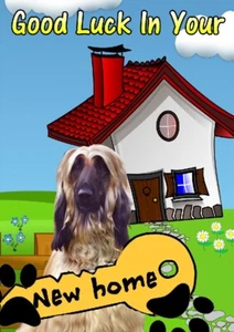Afghan Hound Dog New Home Moving Card PID24 A5 Personalised Greeting Card - Picture 1 of 1
