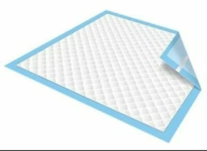 Secure Personal Care Products Underpads" 30 X 30" 10 Count Package Blue - Picture 1 of 3