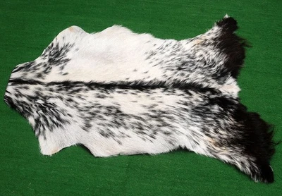GOAT Western taxidermy Hide Rug Natural Pattern Fur Goat Hide Rode SA-1256 - Image 1 of 3