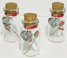 Personalisierte Valentinstag Message in a Bottle, Valentinstag Geschenkidee, rote Rose Jar