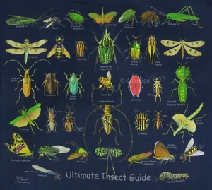 ULTIMATE INSECT GUIDE-Bugs Beetle Ant Fly Hornet Pest Nature Kids T shirt sz M,L - Picture 1 of 3
