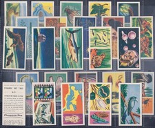 **BULK BUY 50 SETS** COOPERS (TEA)- STRANGE BUT TRUE (2ND SERIES 50x 25 CARDS)