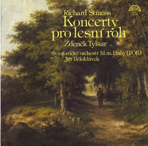 STRAUSS R Horn Concertos 1 & 2 TYLSAR BELOHLAVEK Supraphon 11102808 LP NM 1979 - Picture 1 of 3