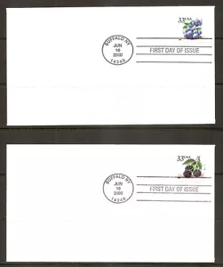 US SC # 3404-3407 Christmas Berries FDC. Plate Number on 1 Cover. No Cachet - Picture 1 of 2
