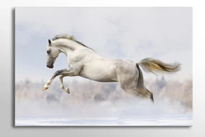 LARGE 36 X 24 Inches FRAMED CANVAS WALL ART WHITE HORSE PICTURE PRINT - Picture 1 of 1