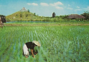 Postcard Philippines Replica of Mayon Volcano at Nayong Pilipino c80s-90s NrMINT - Picture 1 of 1