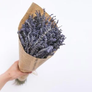 1 Bunch Lavender Natural Dried Flower Best Gift Grass A6B4 K6I6 Z1D2 GIFTS A7I4 - Picture 1 of 12