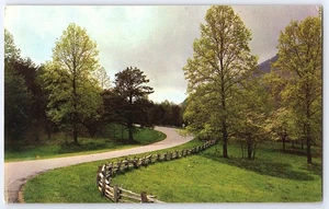 Postal de colección A Turn In The Road paisaje escénico EE. UU. valla de árboles años 70 - Imagen 1 de 2