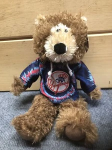 NUEVO Old Stock GOOD STUFF NY Yankees MLB Teddy Bear W/Blue/Red Hoodie - Imagen 1 de 10