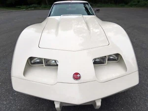 1976 Chevrolet Corvette - Picture 1 of 40