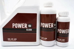 Power Si Bloom - Picture 1 of 3