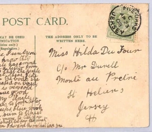 GB Channel Islands JERSEY Postcard *FIVE OAKS* CDS St Heliers 1908{samwells}ZJ90 - Picture 1 of 10