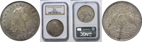 1795 $1 Flowing Hair Bust Dollar 2 Leaves BB-21 NGC AU-50 Cover