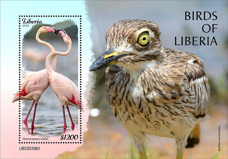 Estampillas de Aves de Liberia MNH 2023 Liberia S/S Foto 1 de 1