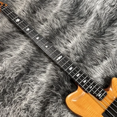 ALEMBIC AJ-II-HB Foto 1 de 4