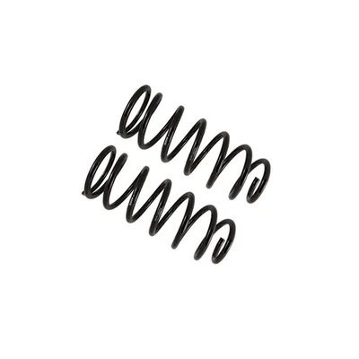 Rear Coil Spring Set FOR 2023 Toyota 4Runner 40th Anniversary Edition - Image 1 of 4