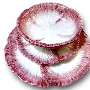 -40 % Les Ottomans x1 Radicchio Abendessen, Schüssel & Beilagenteller BRANDNEU UVP 163 £ - Bild 1 von 24