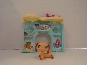 Littlest Pet Shop~#2597~Dachshund~Orejas Marrón Naranja~Ojo de Punto Verde~Bolso Euro Ciego - Imagen 1 de 4