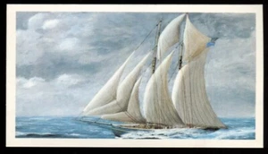 Tobacco Card, Doncella, GOLDEN AGE OF SAIL, 1978, Racing Schooner 1900, #20 - Picture 1 of 2