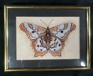 Pintura Acuarela Mariposa Bonito Marco Artista Firmado Arte Polilla Pintura Raro - Imagen 1 de 4