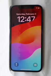 Apple iPhone 12 Pro 128 GB (T-Mobile) Grafito NGK13LL/A SIM-LOCKED #19408 - Imagen 1 de 10