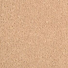Westex Ultima Twist Crest Driftwood Carpet Remnant 4.35m x 5.0m (s27715)