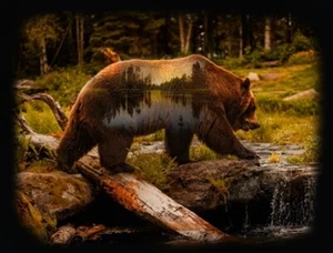 Tela Hoffman American Grizzly Bear 33 x41 pulgadas de ancho impresión digital - Imagen 1 de 1