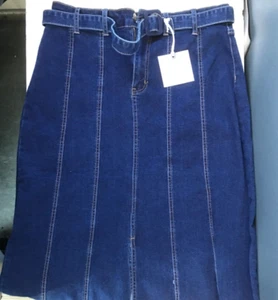 Blu A Line Denim Skirt Blue Women's Size 10 Stretch Empowering Women NWT - Picture 1 of 10