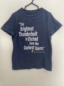 Gymboree Kids Boys Marled 100% Cotton Crew Neck Short Sleeve Shirt Blue XS 4 - Picture 1 of 5