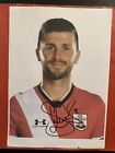 Shane Long / Southampton Fc Signed A4 Picture 