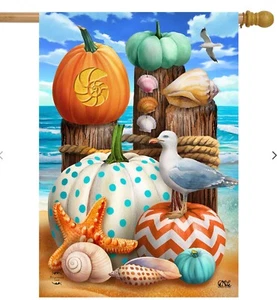 F40 MEERFALL AM STRAND HERBST GROSSE HAUSFLAGGE 28X40 BANNER - Bild 1 von 1