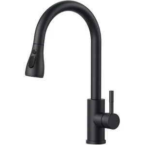 Stylische Küchenarmatur in Schwarz: Hochdruck, Ausziehbar und mit Dual-Strahl - Bild 1 von 2
