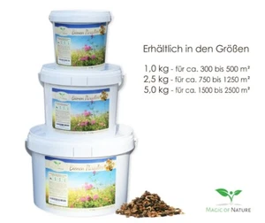 Bienen Paradies - Bienenweide Mischung - Menge wählbar: 1 kg / 2,5 kg / 5 kg - Bild 1 von 32