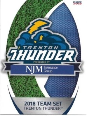 2018 Trenton Thunder Team Card Set (Pick Your Cards) New York Yankees - Image 1 of 2