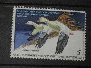 - #RW44 1977 - US Federal Duck Stamp - Mint OG NH - Bild 1 von 2