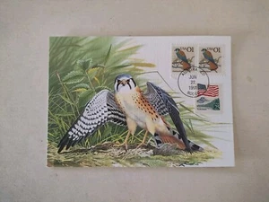 US 1991 American Kestrel Art Painting Maximum Postcard , Aurora - Picture 1 of 2