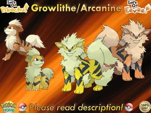⭐Shiny/Non-shiny Growlithe/Arcanine 6IV XL⭐Let's Go Pikachu/Eevee HOME (💯Legal) - Picture 1 of 21