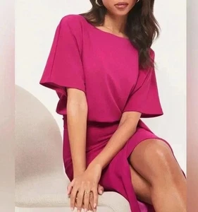 Marina Fuchsia U-Boot-Ausschnitt Overlay Flatterärmel Kleid Made in USA Größe Large - Bild 1 von 8
