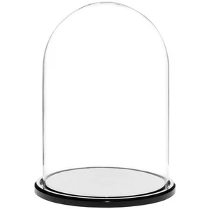 Cúpula de exhibición de vidrio Plymor de 5,5" x 8" (base de acrílico negro) - Imagen 1 de 1