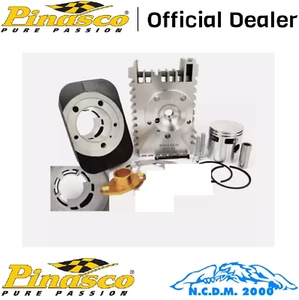 Gruppo Termico Pinasco 26028504 EVOTEN BOOSTER G.T. 46X43mm, SP 10   GRILLO - Imagen 1 de 1