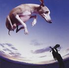 Paul Gilbert FLYING DOG (CD)