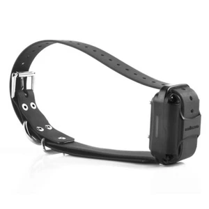 E-Collar Technologies RX-120 Large Receiver with Strap - Picture 1 of 2