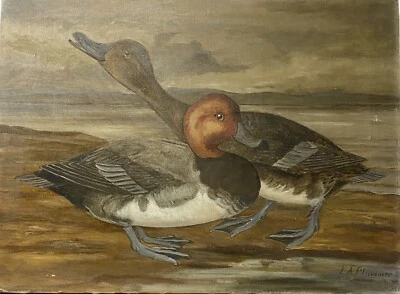 Original Vint. Art Painting Redhead Duck Pair by  Leander Allen Plummer, Signed - Image 1 of 4