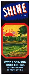 SHINE ORANGE CRATE LABEL FLORIDA STRIP 40ER ORLANDO RISING SUN ORIGINAL VINTAGE - Bild 1 von 1