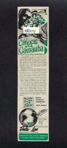 DELTA LINE CARIOCAS & CARNAUBA CERA PER USA 2 VIE COMMERCIO 3 CONTINENTI ANNUNCIO - Foto 1 di 1