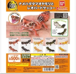 Bandai Gashapon Smooth knob tailed & Leopard Gecko Actionfigur Komplettsatz - Bild 1 von 2