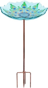 MUMTOP Glass Bird Bath, Garden Outdoor Birdbaths Birdfeeder with Peacock - Picture 1 of 7
