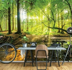 Fotomural WALD BACH SOLNE fieltro verde naturaleza pasillo salón PAPEL PINTADO XXL 368x254 - Imagen 1 de 5
